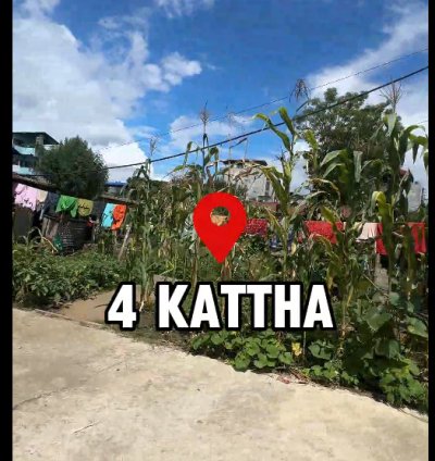Commercial Land for Rent in Bharatpur, Chitwan